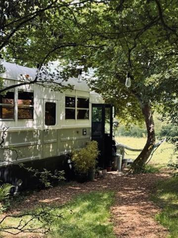 American School Bus Retreat With Hot Tub In Sussex Meadow Uckfield Exteriör bild